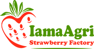 logo iama_agri